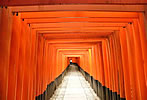 Fushimi Inari