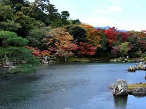 池泉回遊式庭園