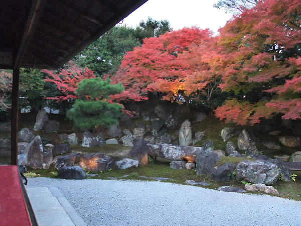 圓徳院・北庭