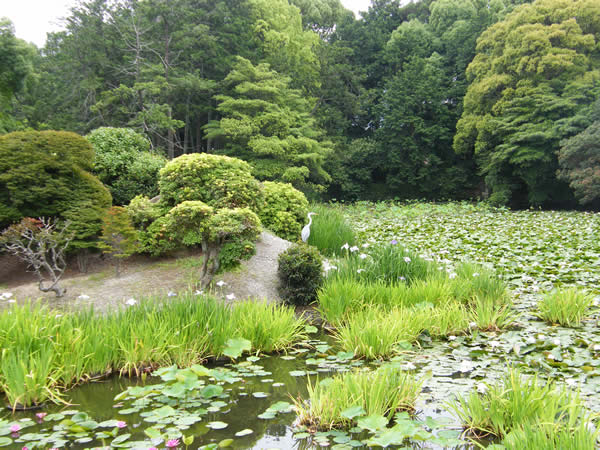 勧修寺氷室園