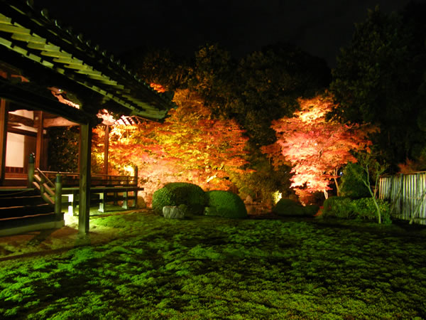 随心院庭園