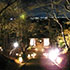 常寂光寺4