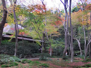 祇王寺