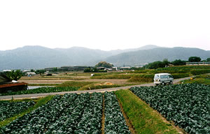 北嵯峨の丘陵