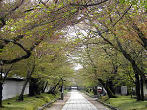 桜馬場