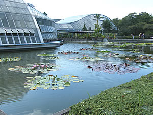 観覧温室と鏡池