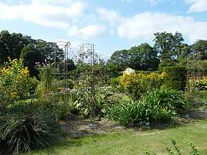 宿根草・有用植物園