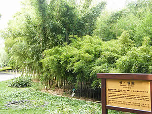 竹・笹園