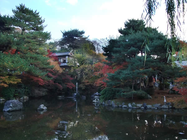 円山公園の紅葉