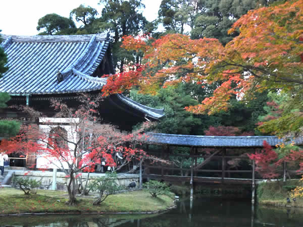 高台寺の紅葉