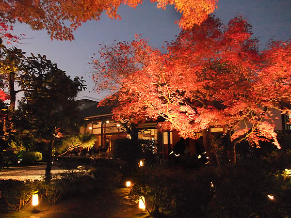 圓徳院の紅葉