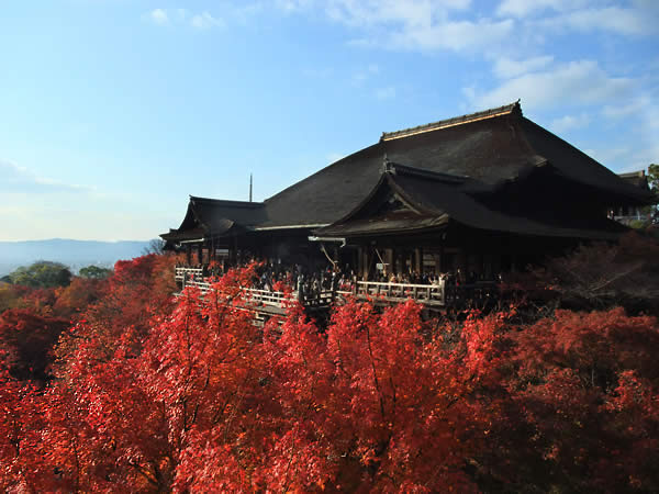 清水寺の紅葉