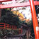 貴船神社の紅葉1