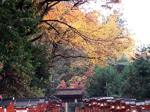 貴船神社の紅葉