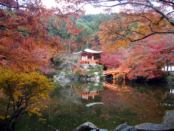 醍醐寺の紅葉