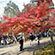 東福寺の紅葉9