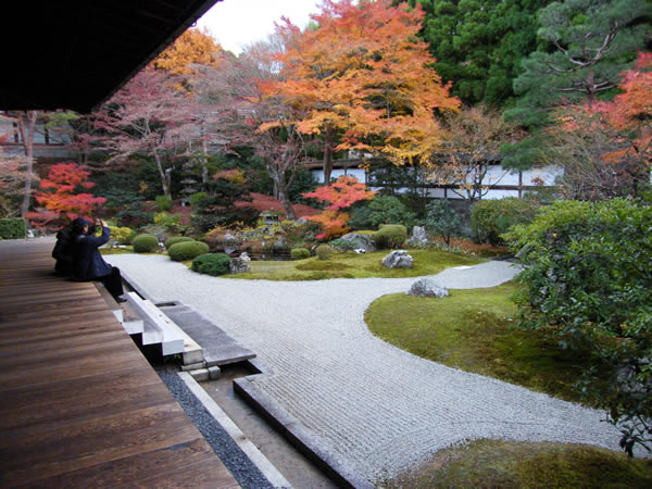 泉涌寺の紅葉