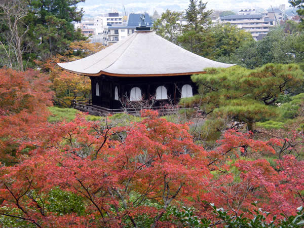 銀閣寺の紅葉