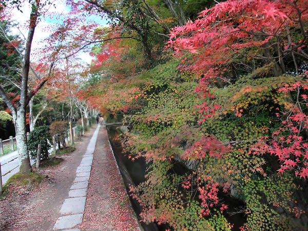 哲学の道の紅葉