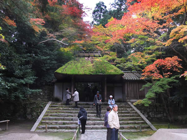 法然院の紅葉