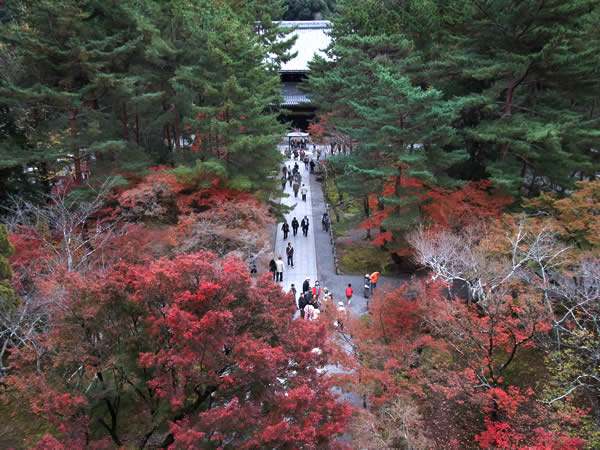 南禅寺の紅葉