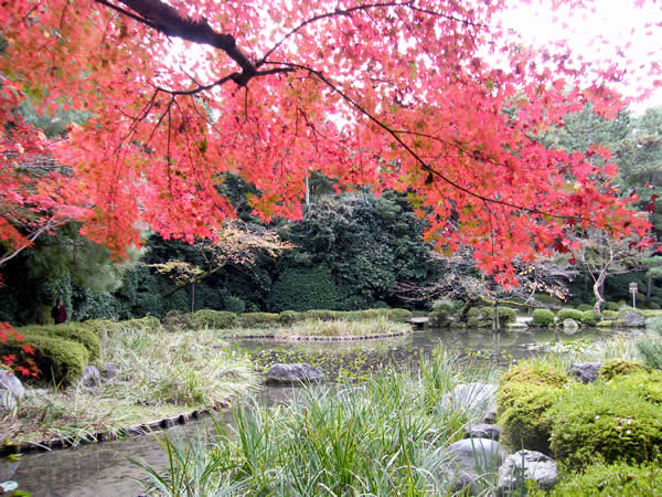 平安神宮の紅葉