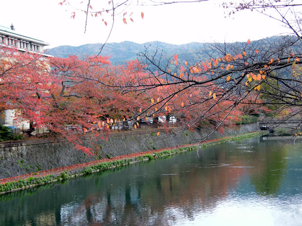 六勝寺のこみちの紅葉