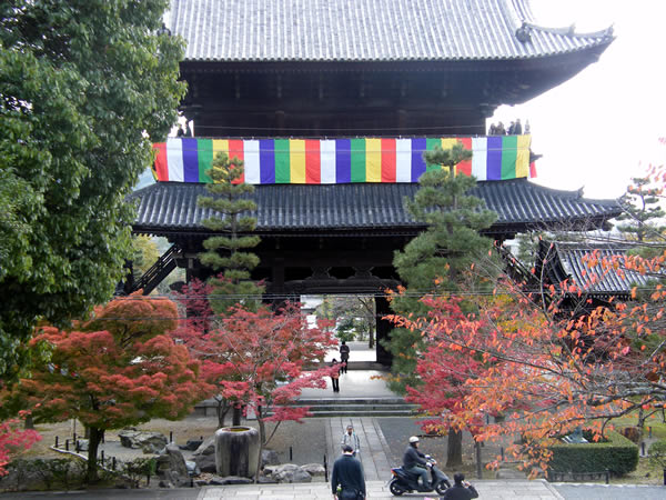 金戒光明寺（黒谷）の紅葉