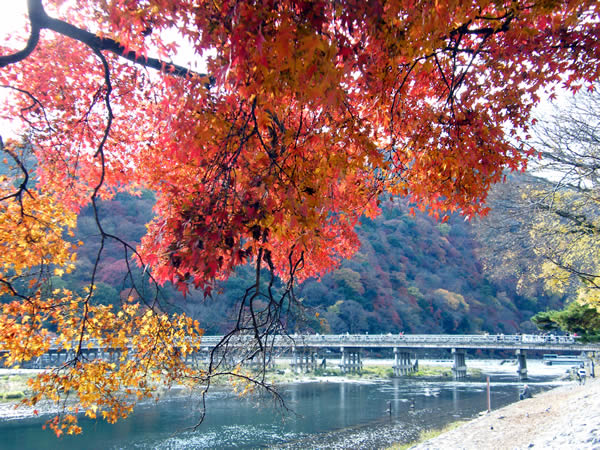 嵐山の紅葉