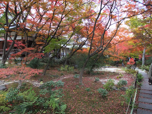 宝篋院の紅葉