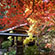 直指庵の紅葉5