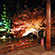 大覚寺と大沢の池の紅葉19