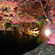 大覚寺と大沢の池の紅葉22