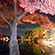 大覚寺と大沢の池の紅葉23
