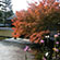 大覚寺と大沢の池の紅葉3