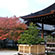 大覚寺と大沢の池の紅葉4