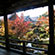 大覚寺と大沢の池の紅葉8