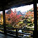 大覚寺と大沢の池の紅葉8