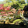 大覚寺と大沢の池の紅葉9