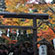 野宮神社の紅葉1