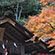 野宮神社の紅葉2