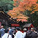 野宮神社の紅葉3