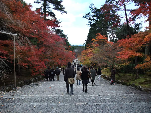 二尊院の紅葉