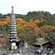 化野念仏寺の紅葉10