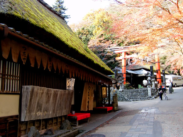 鳥居本の紅葉