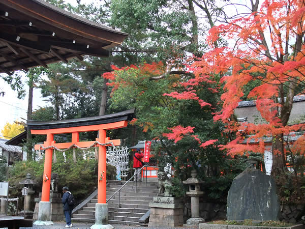 宇治神社の紅葉