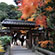 宇治上神社の紅葉1