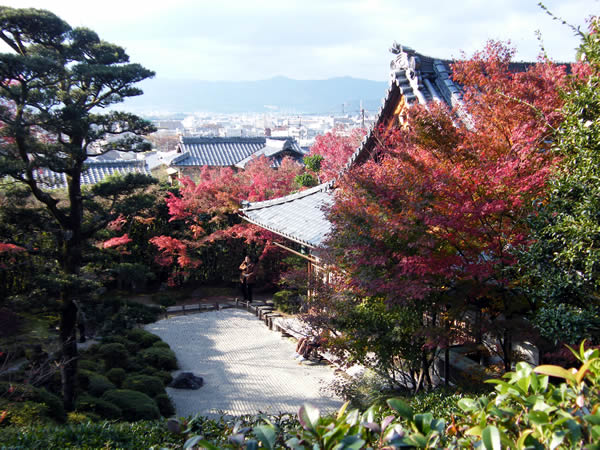 金福寺の紅葉