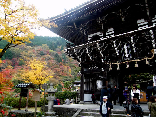 善峰寺の紅葉