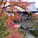 善峰寺の紅葉9